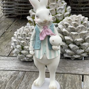 Lapin ligné vert